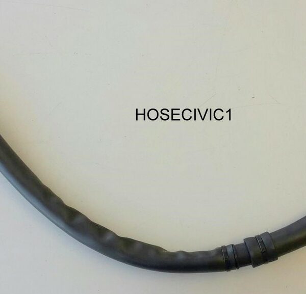 HOSECIVIC1